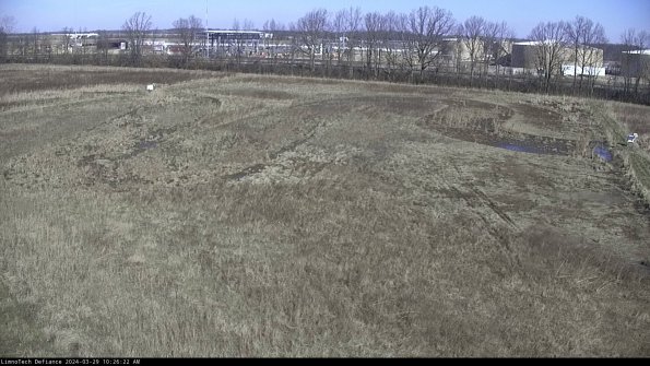 Cell 3_24-03-29_10-26-23-18