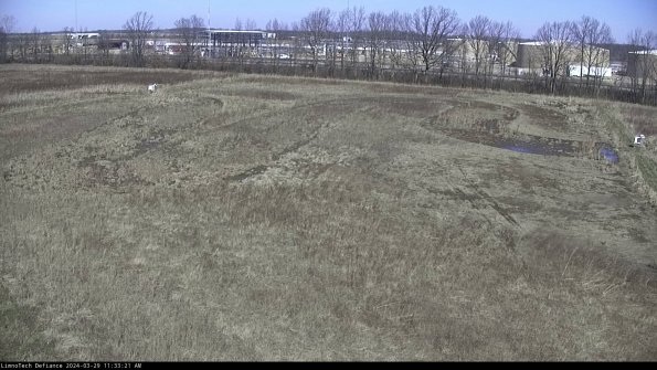 Cell 3_24-03-29_11-33-22-41