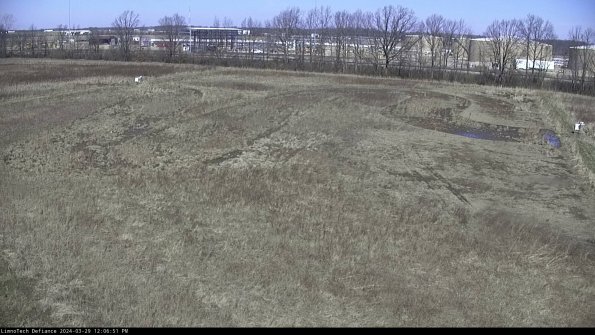 Cell 3_24-03-29_12-06-52-17