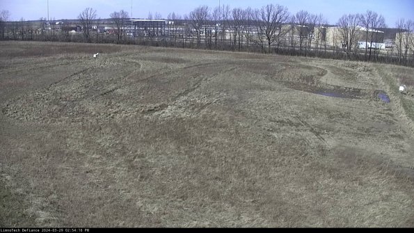 Cell 3_24-03-29_14-54-17-39