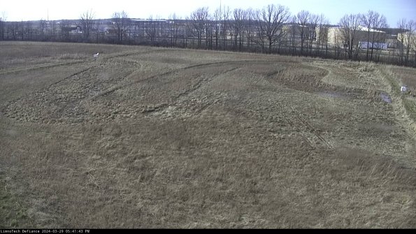 Cell 3_24-03-29_17-41-44-15