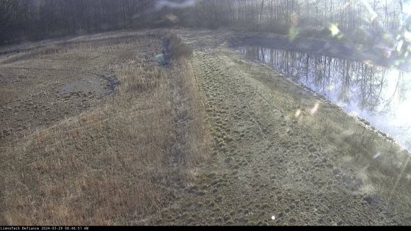 Cell 4 to Basin_24-03-29_08-46-52-18