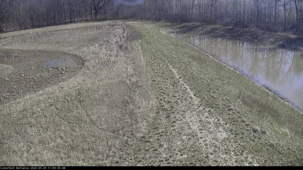 Cell 4 to Basin_24-03-29_11-00-51-19