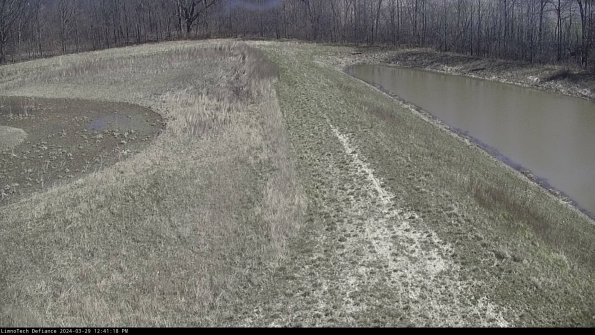 Cell 4 to Basin_24-03-29_12-41-19-17