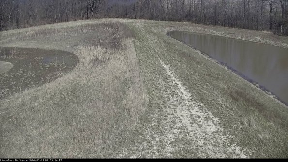 Cell 4 to Basin_24-03-29_14-55-15-18