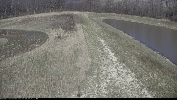 Cell 4 to Basin_24-03-29_16-35-43-17