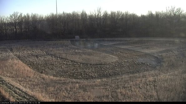 Cell 4_24-03-29_08-12-53-17