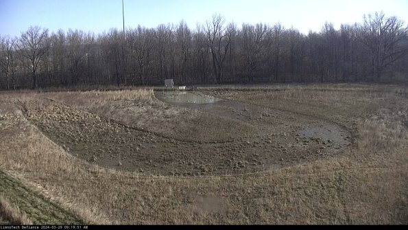 Cell 4_24-03-29_09-19-52-17