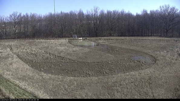 Cell 4_24-03-29_10-26-51-17