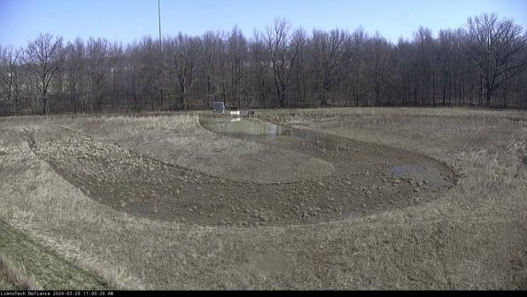 Cell 4_24-03-29_11-00-21-16