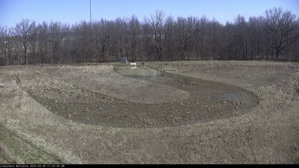 Cell 4_24-03-29_11-33-50-18