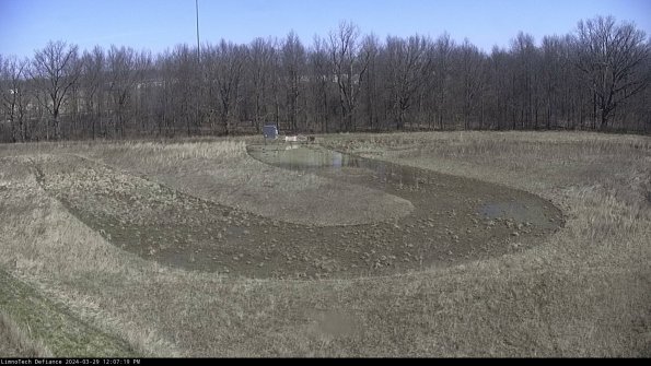 Cell 4_24-03-29_12-07-20-16