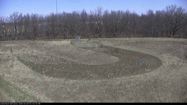 Cell 4_24-03-29_13-14-17-16