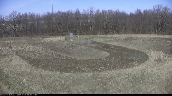 Cell 4_24-03-29_15-28-15-20