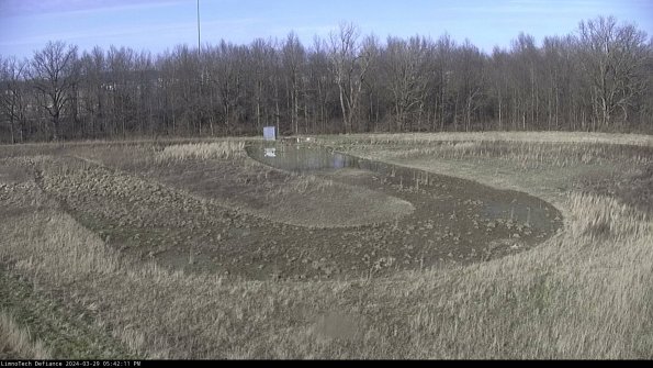 Cell 4_24-03-29_17-42-12-18