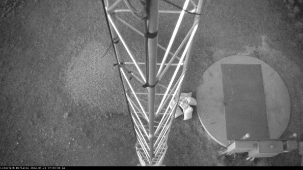 Hatch_24-03-29_07-00-01-19