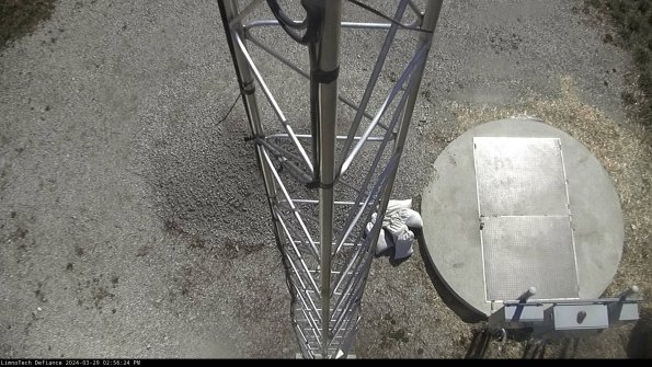 Hatch_24-03-29_14-56-25-19