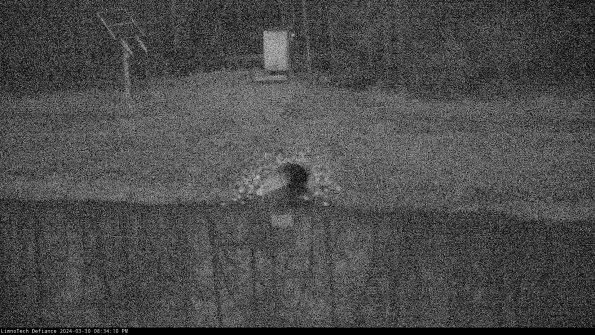 Basin Inflow_24-03-30_20-34-10-51