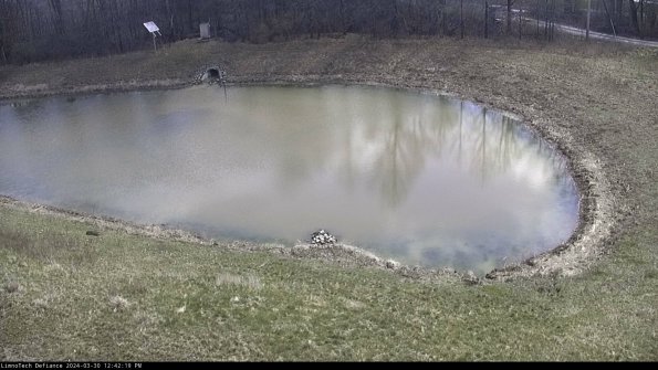 Basin Right_24-03-30_12-42-20-15