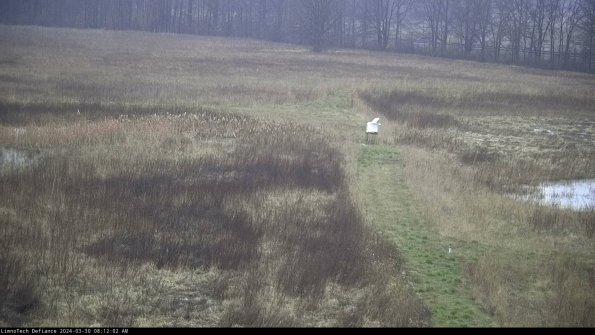 Cell 1 to 2_24-03-30_08-12-03-18