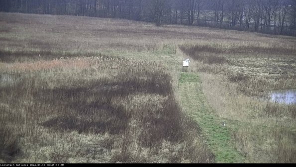 Cell 1 to 2_24-03-30_08-45-32-16