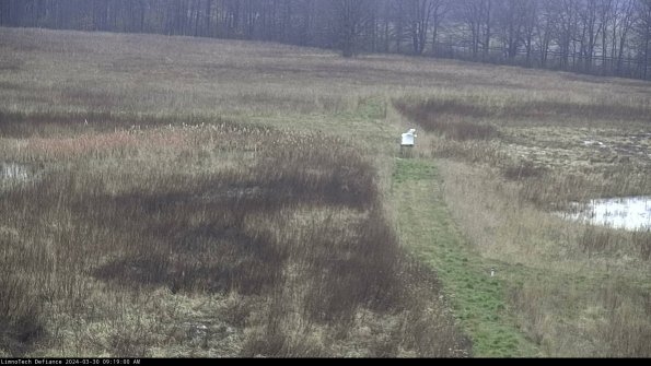 Cell 1 to 2_24-03-30_09-19-01-17