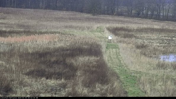 Cell 1 to 2_24-03-30_09-52-31-16