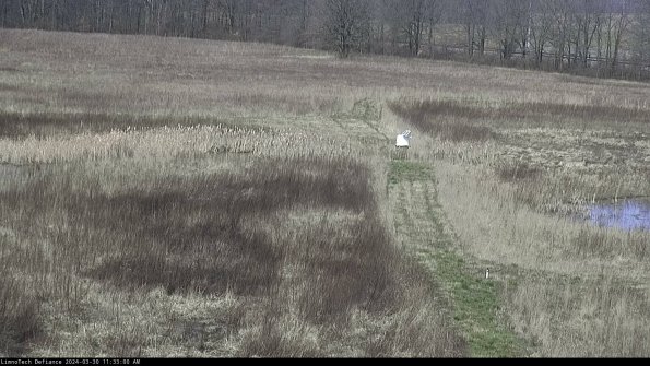 Cell 1 to 2_24-03-30_11-33-01-14