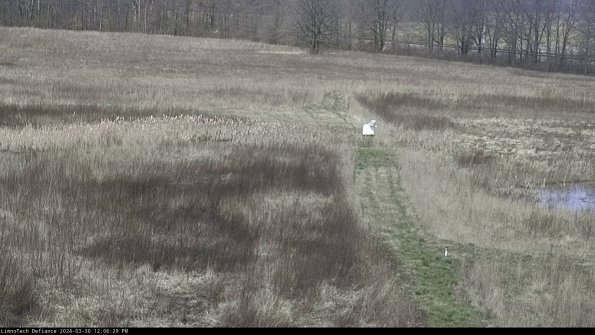 Cell 1 to 2_24-03-30_12-06-30-16