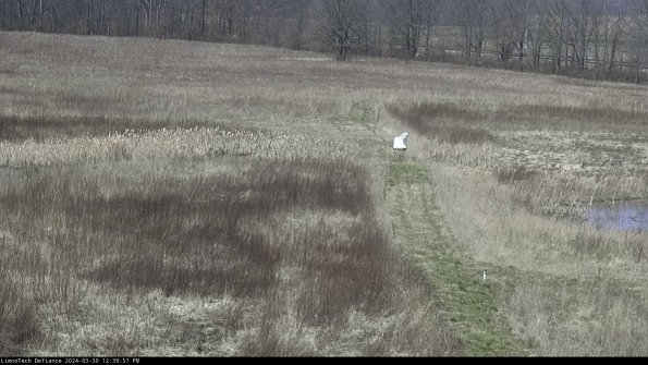 Cell 1 to 2_24-03-30_12-39-58-18