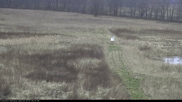 Cell 1 to 2_24-03-30_13-46-56-18