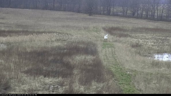 Cell 1 to 2_24-03-30_14-53-56-16