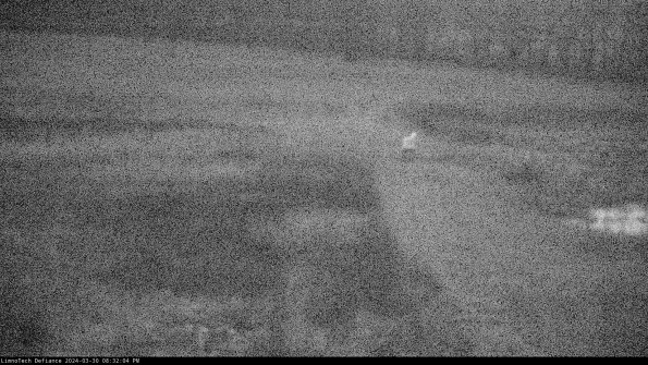 Cell 1 to 2_24-03-30_20-32-04-49