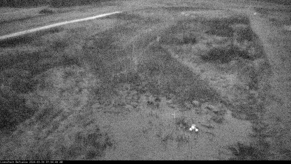 Cell 1_24-03-30_07-04-47-16