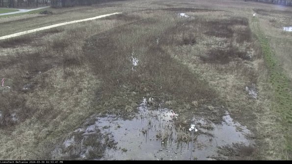 Cell 1_24-03-30_14-53-42-14