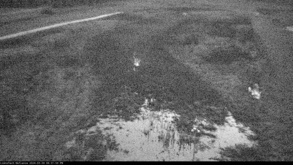 Cell 1_24-03-30_20-31-50-51