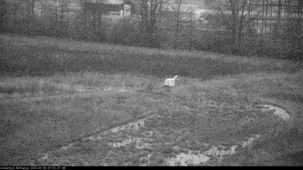 Cell 2 to 3_24-03-30_07-05-28-17