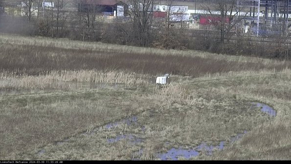 Cell 2 to 3_24-03-30_11-33-27-23