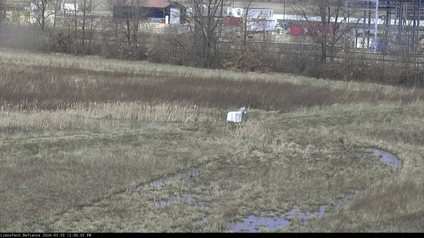 Cell 2 to 3_24-03-30_12-06-56-25