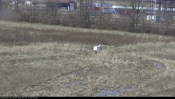 Cell 2 to 3_24-03-30_12-40-24-34