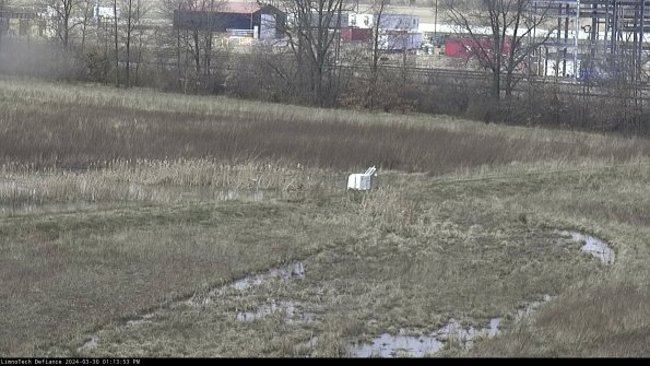 Cell 2 to 3_24-03-30_13-13-54-23