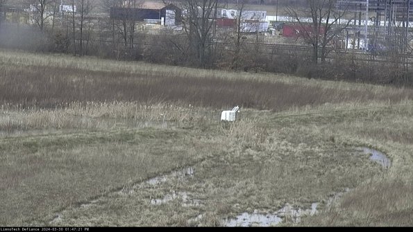 Cell 2 to 3_24-03-30_13-47-22-38