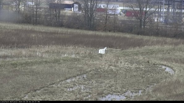 Cell 2 to 3_24-03-30_14-20-52-33