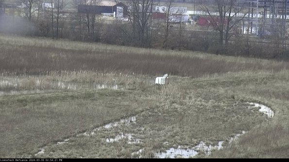 Cell 2 to 3_24-03-30_14-54-22-28