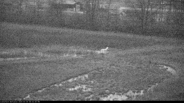 Cell 2 to 3_24-03-30_20-32-30-75