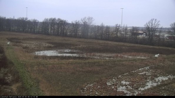 Cell 2_24-03-30_08-12-16-22