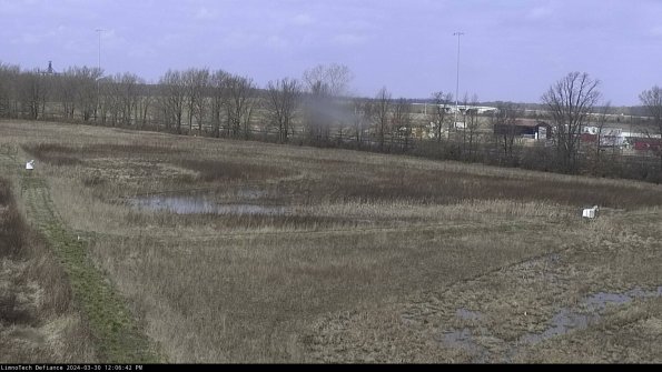 Cell 2_24-03-30_12-06-43-17