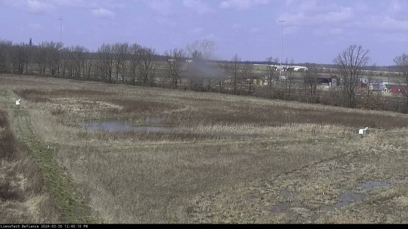 Cell 2_24-03-30_12-40-11-19