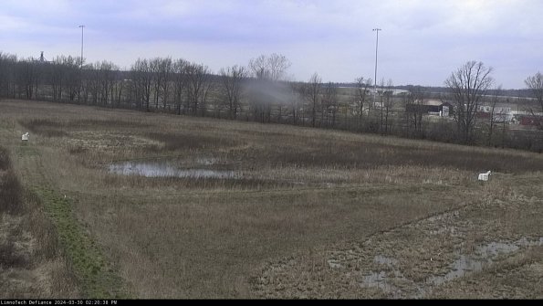 Cell 2_24-03-30_14-20-39-22