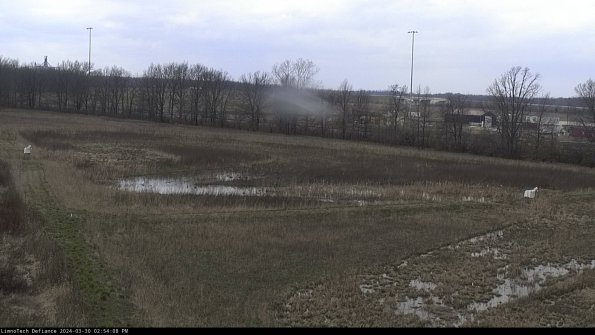 Cell 2_24-03-30_14-54-09-20